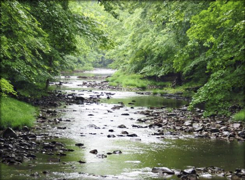 Tinicum Creek