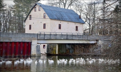 Glaciers, Mountains, Gorges, and Mud-  A History of Humans and Land Use Up-River on the Musconetcong