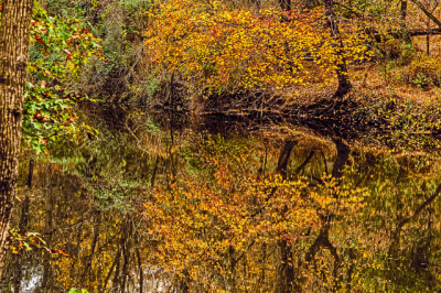 Delaware and Raritan Canal: Treasure in Central New Jersey with Ted Settle